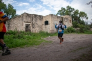 D4226213