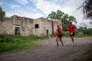 R4226342