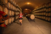 M4231127