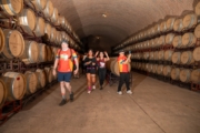 R4231715