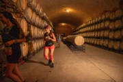 T4230444