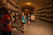T4232056