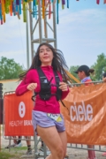 T4227871