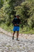 G4263384