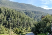 R4264045