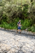 Y4266818