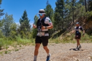 W4245391