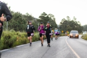 G4237679