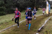 K4238139