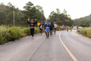 L4237108