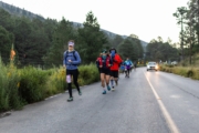 L4237938