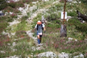 N4240109