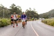 S4237147