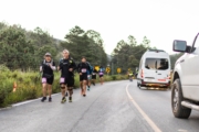 W4237599