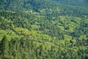 F4247516
