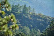 G4247663