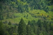 X4245925