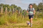 P4236078