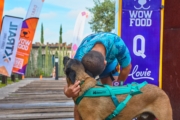 DOG SERIES - Cava 57