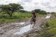 J4234779