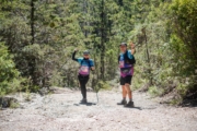 S4237053