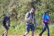G4258772