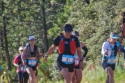 W4258886
