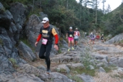 V4246783