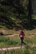 D4265497