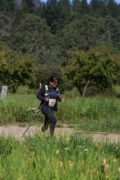 G4262038