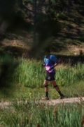 H4263707