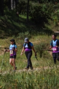 O4263757