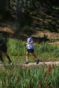 S4263686