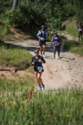 S4264363