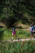 W4259605