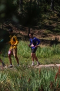 W4262813