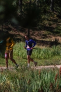 W4262814