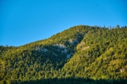 P4255080