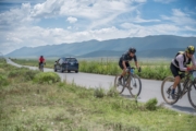 D4271566