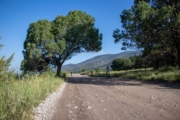 F4267921