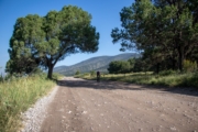G4267979