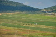 V4270469