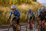 H4274613